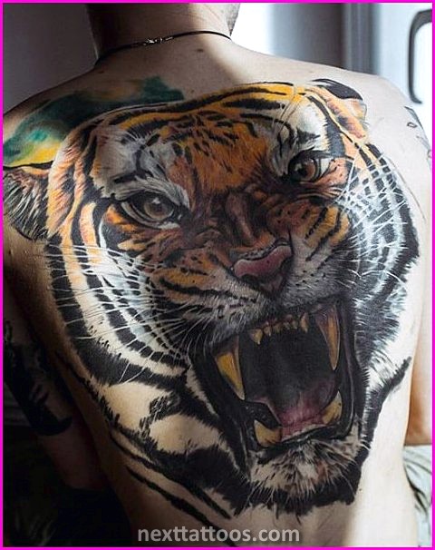 Popular Animal Tattoos Popular Animal Tattoos