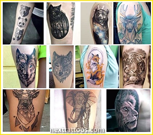 Popular Animal Tattoos Popular Animal Tattoos