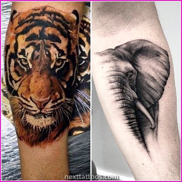 Animal Arm Tattoos - The Hottest Trend in Men's Tattoos Today