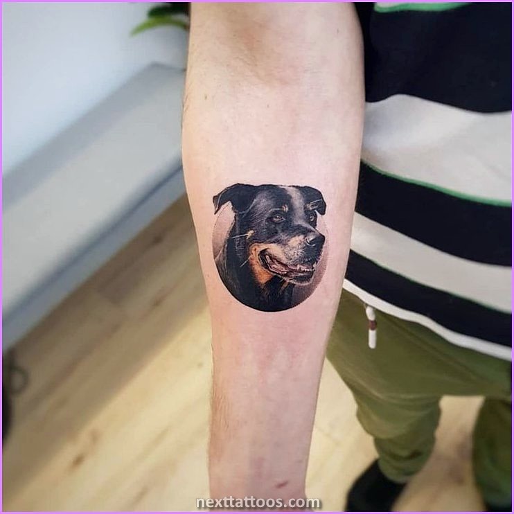 Animal Portrait Tattoos Near Me