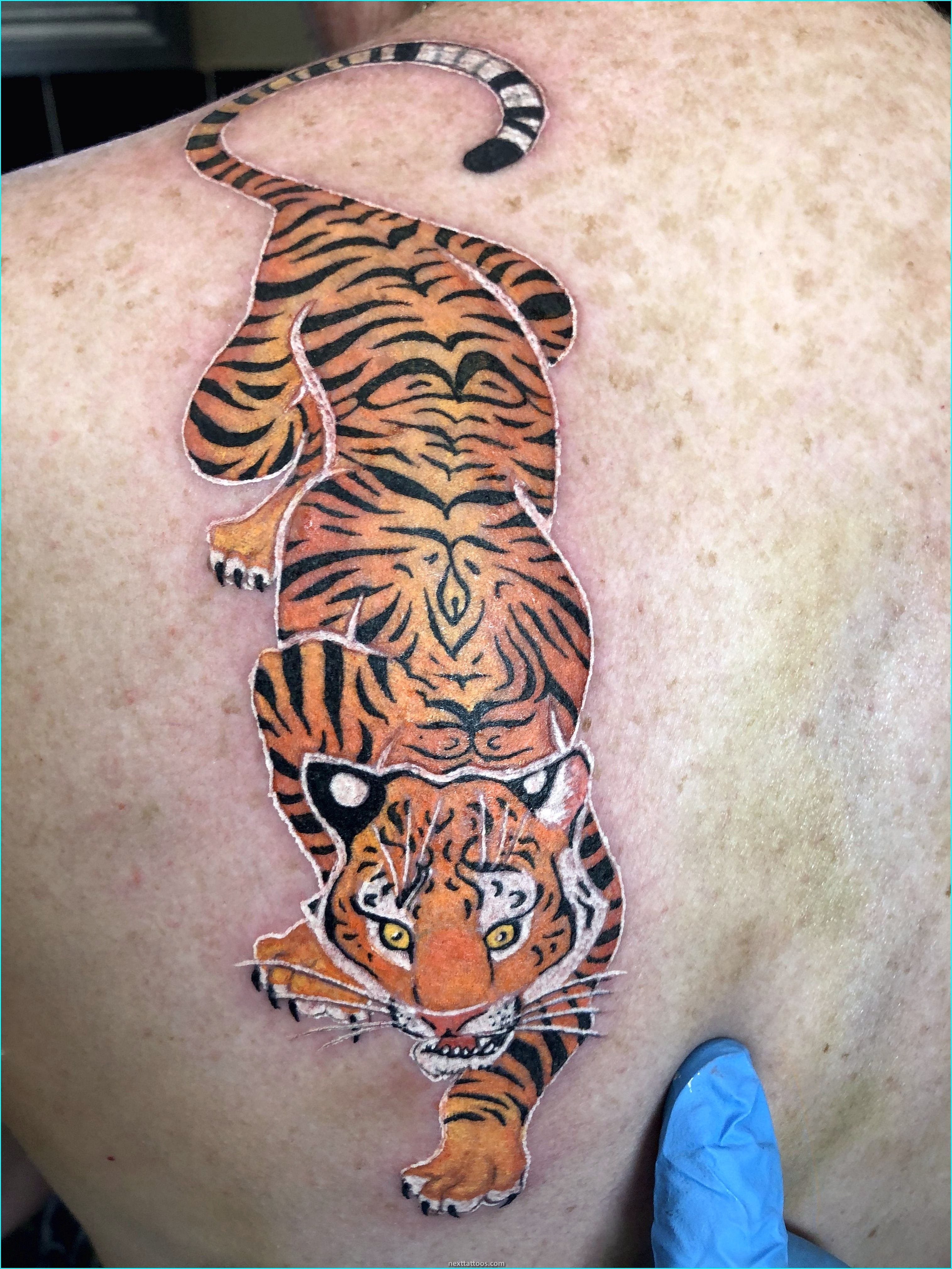 Animal Scene Tattoos