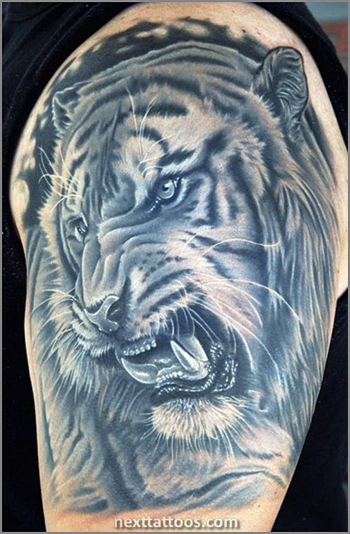 Pretty Animal Tattoos Pretty Animal Tattoos