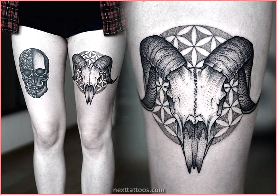 Skeletons Are Great Skeletal Animal Tattoos Skeletons Are Great Skeletal Animal Tattoos
