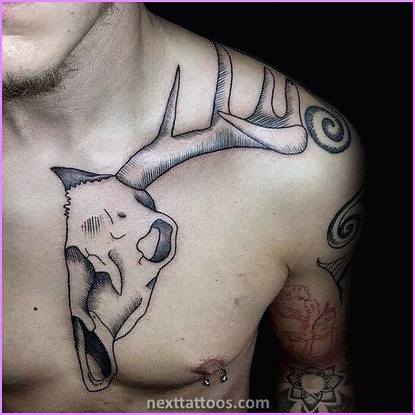 Skeletons Are Great Skeletal Animal Tattoos Skeletons Are Great Skeletal Animal Tattoos