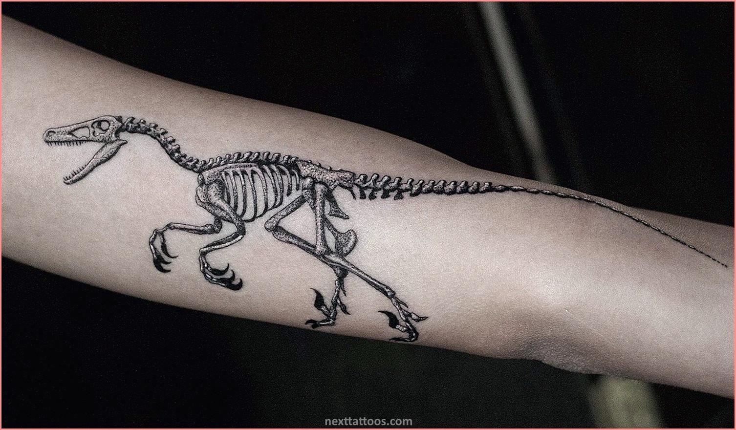 Skeletons Are Great Skeletal Animal Tattoos Skeletons Are Great Skeletal Animal Tattoos