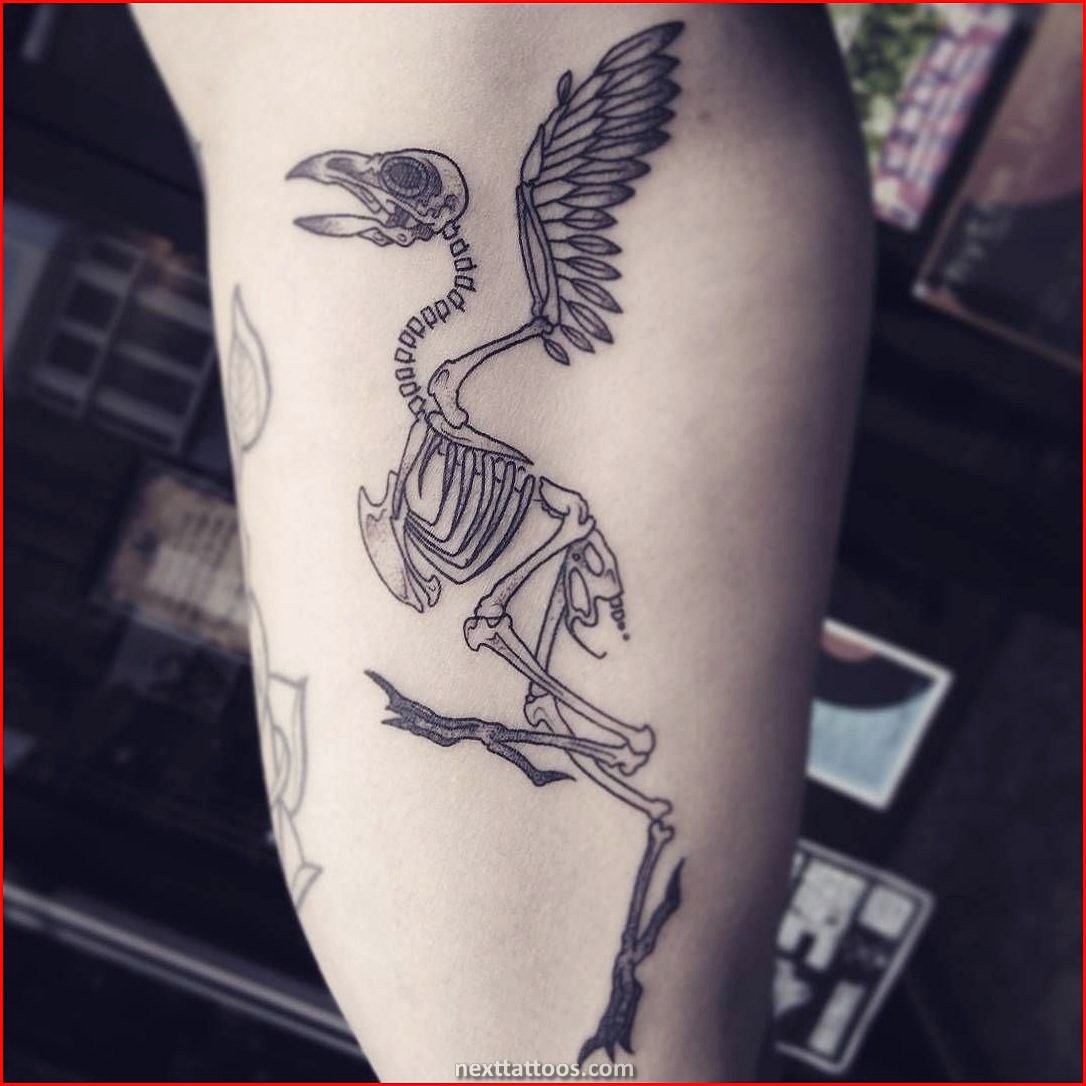 Skeletons Are Great Skeletal Animal Tattoos Skeletons Are Great Skeletal Animal Tattoos