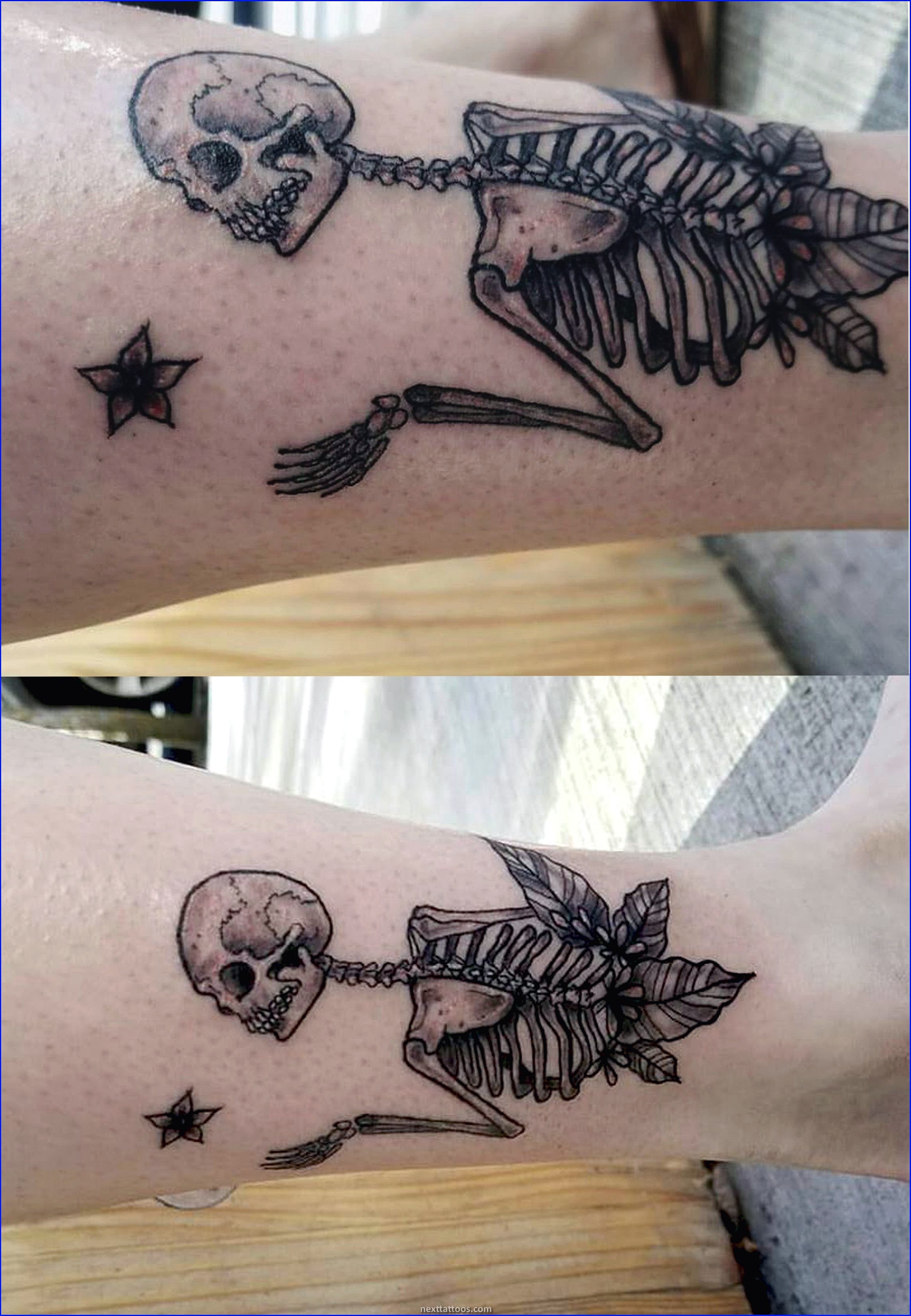 Skeletons Are Great Skeletal Animal Tattoos Skeletons Are Great Skeletal Animal Tattoos
