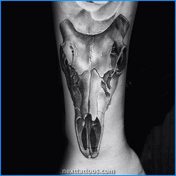 Skeletons Are Great Skeletal Animal Tattoos Skeletons Are Great Skeletal Animal Tattoos