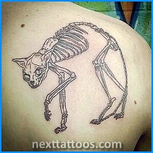 Skeletons Are Great Skeletal Animal Tattoos Skeletons Are Great Skeletal Animal Tattoos