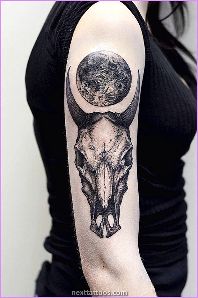 Skeletons Are Great Skeletal Animal Tattoos Skeletons Are Great Skeletal Animal Tattoos