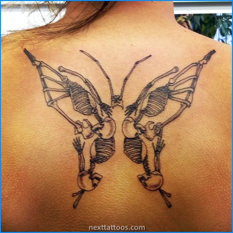 Skeletons Are Great Skeletal Animal Tattoos Skeletons Are Great Skeletal Animal Tattoos