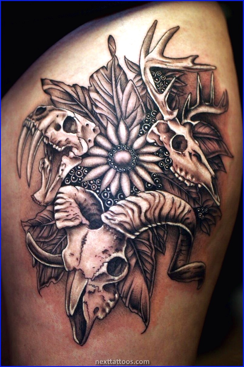 Skeletons Are Great Skeletal Animal Tattoos Skeletons Are Great Skeletal Animal Tattoos