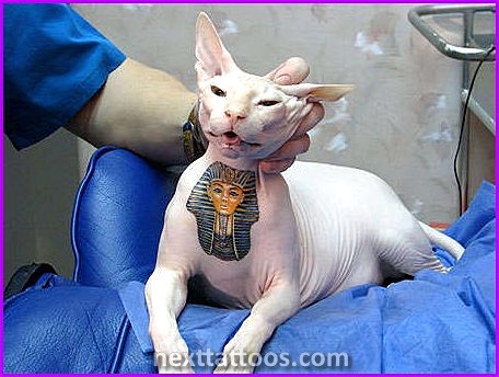 Get an Egyptian Animal Tattoo to Show Off Your Personality and Spirituality
