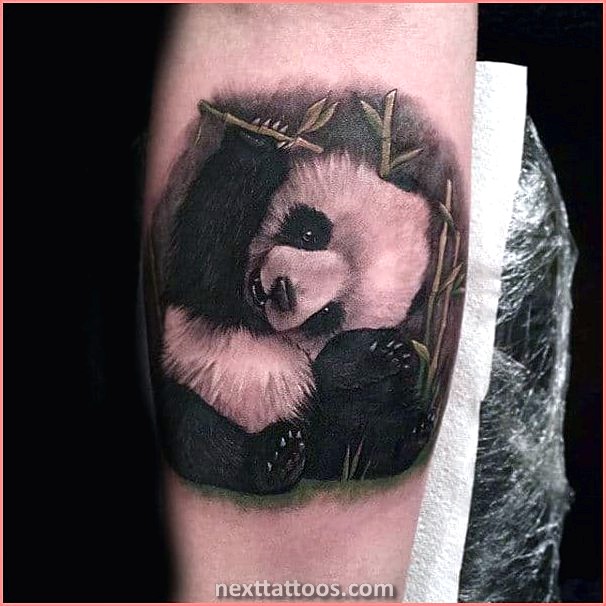 Best Animal Tattoos With Meaning