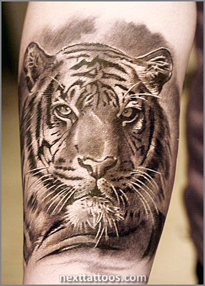 Best Animal Tattoos With Meaning