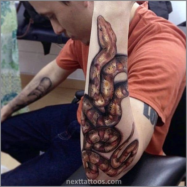 Animal Arm Tattoos For Men