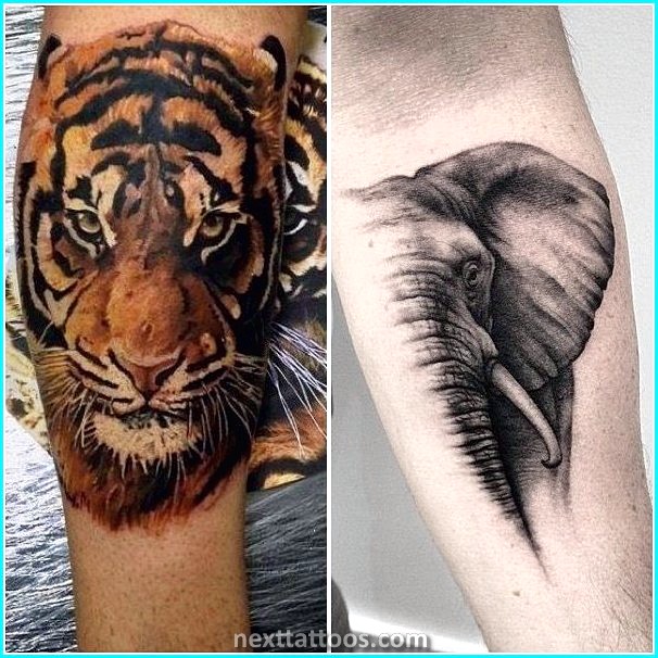 Cute Wild Animal Sleeve Tattoos