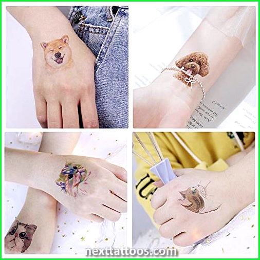 Animal Hands Temporary Tattoos