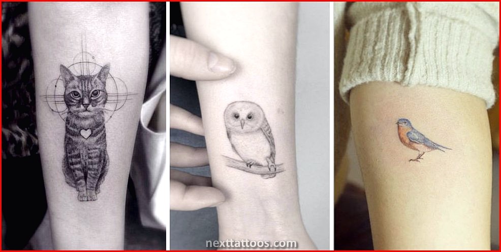 Animal Tattoos For Women