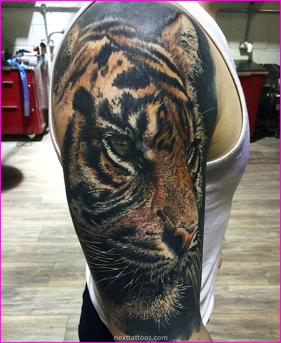 Awesome Animal Tattoos For Guys