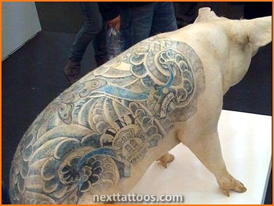 Awesome Animal Tattoos For Guys