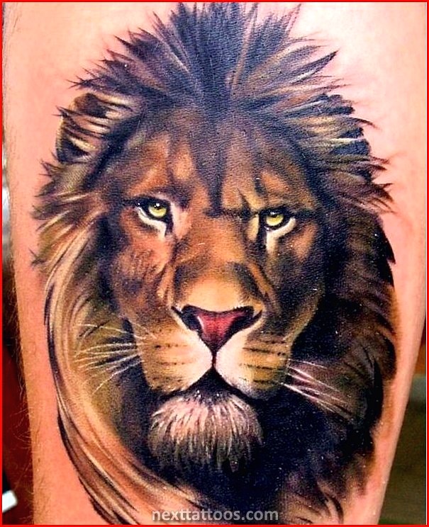 Awesome Animal Tattoos For Guys