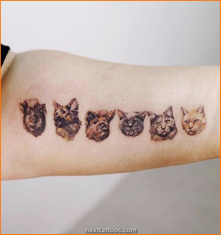 Cute Animal Tattoos Ideas