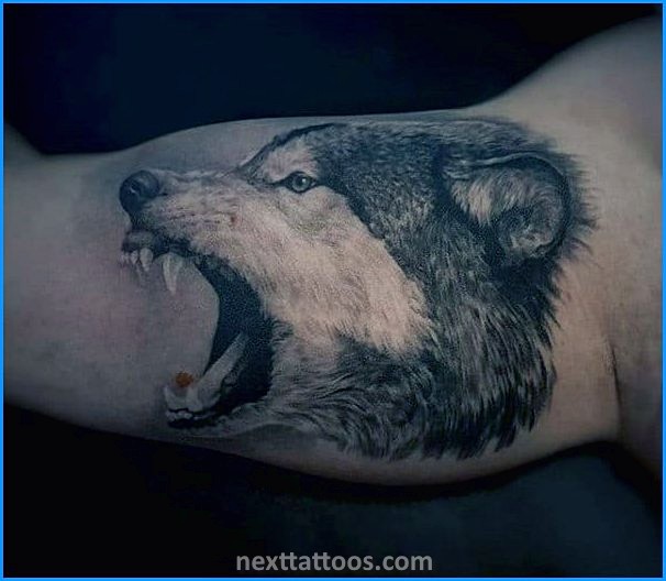 Animal Tattoos For Men