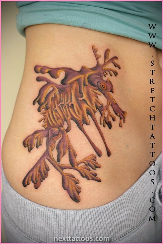 Sea Animal Tattoos Designs Sea Animal Tattoos Designs