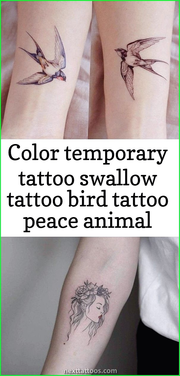 Animal Fake Tattoos - Fun Birthday Party Ideas For Children