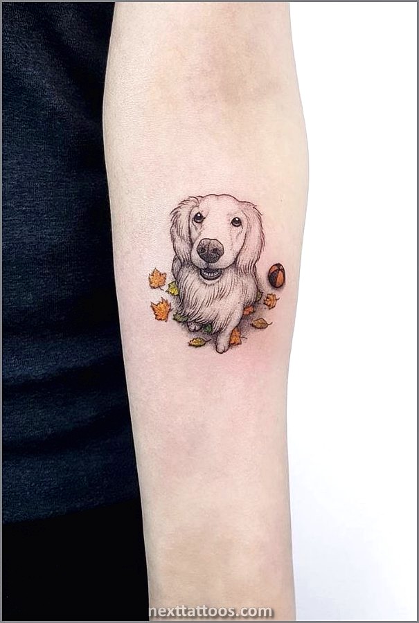 The Best Beautiful Animal Tattoos