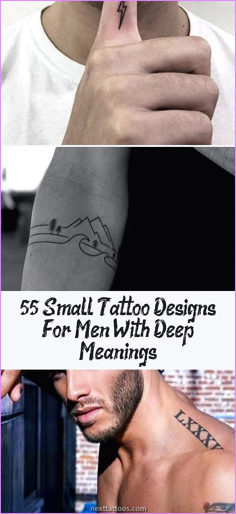 Cool Animal Tattoos For Guys