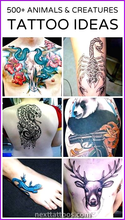 Top 10 Coolest Animal Tattoos