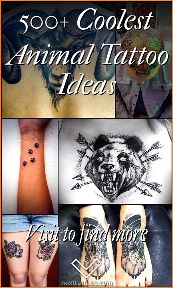 Top 10 Coolest Animal Tattoos