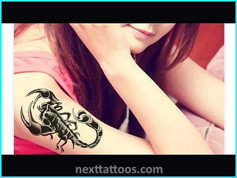 Animal Print Temporary Tattoos