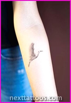 Small Animal Tattoos on Tumblr