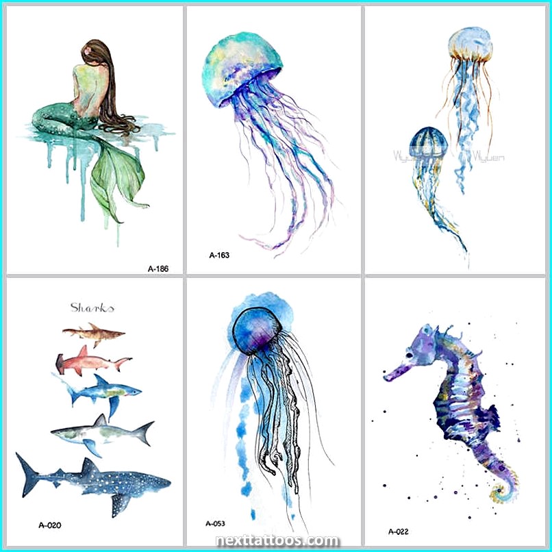 Meanings and Types of Ocean Animal Tattoos