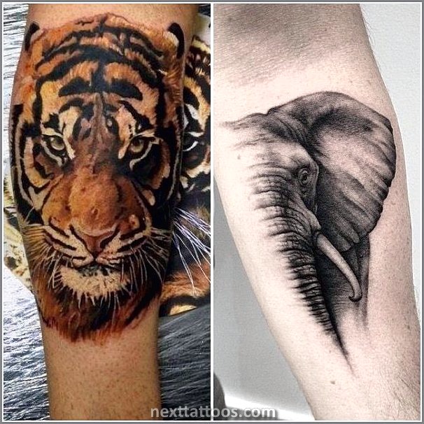 Realistic Animal Tattoos