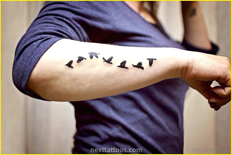 Bird Tattoos on Arm - Get Inspired by Birds and Their Many Uses