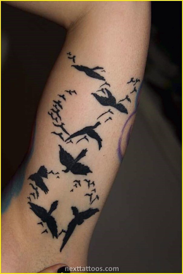Bird Tattoos on Arm - Get Inspired by Birds and Their Many Uses