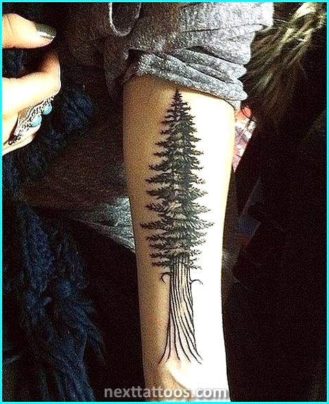 Gorgeous Nature Tattoos For Women