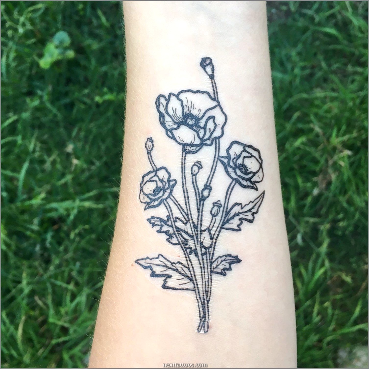 Nature Temporary Tattoos