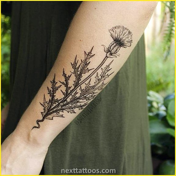 Nature Temporary Tattoos