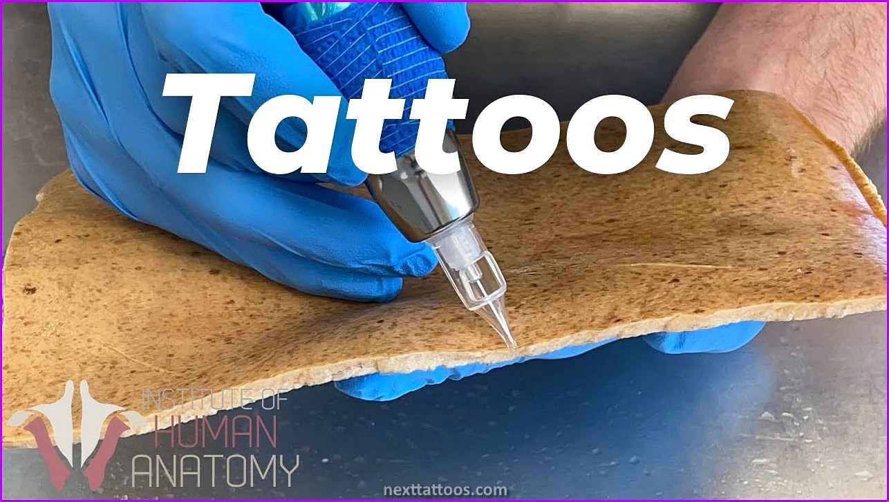 Next Of Skin Tattoo - How To Take Proper Care Of Your Tattoo