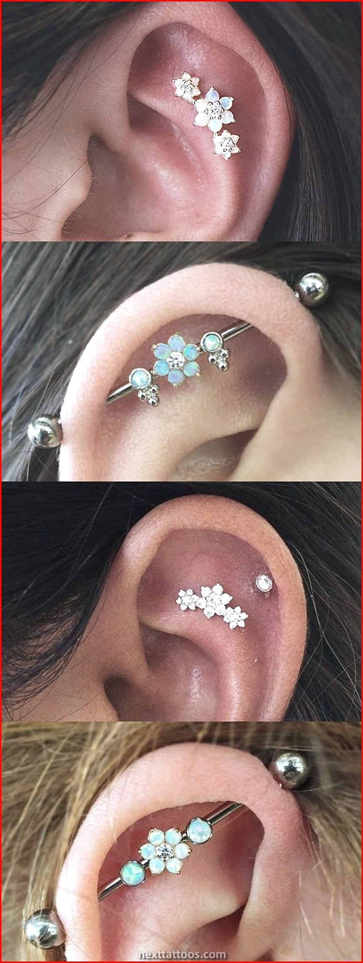 Ear Piercing Ideas Pictures