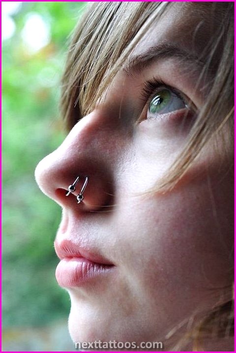 Double Nose Piercing Ideas