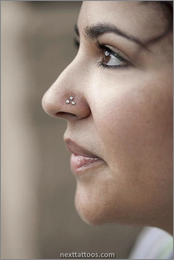 Double Nose Piercing Ideas