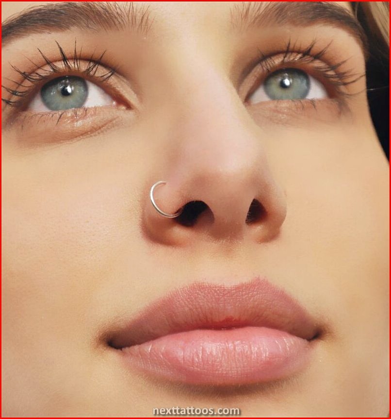 Double Nose Piercing Ideas