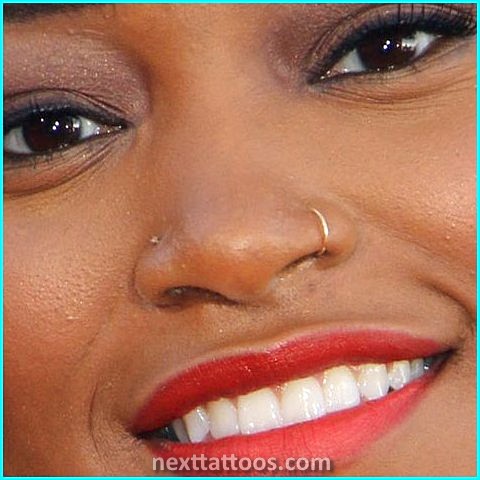 Double Nose Piercing Ideas