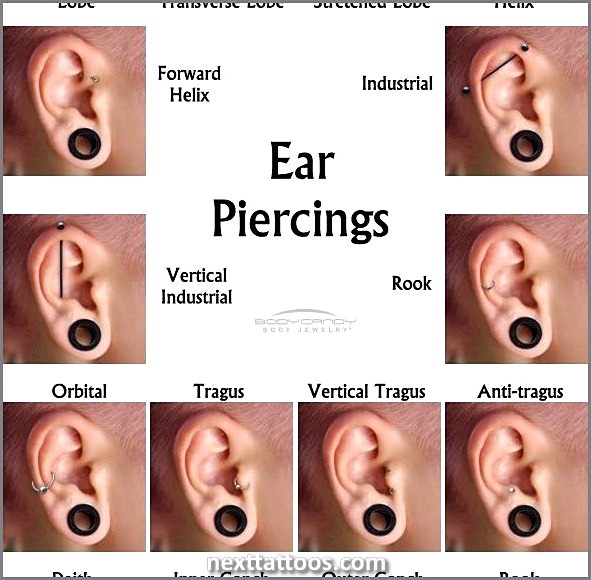 3 Types of Ear Piercing Ideas
